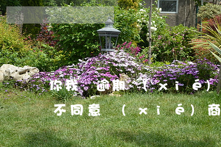 你我貸逾期協(xié)商還款不同意(逾期不同意協(xié)商還款怎么辦)