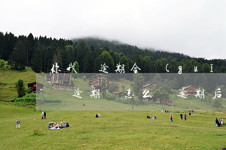 你我貸逾期合規(guī)嗎上征信嗎 你我貸逾期會怎么樣?逾期后果嚴重嗎?