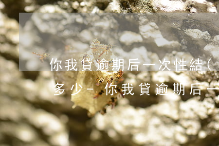 你我貸逾期后一次性結(jié)清能減免多少-你我貸逾期后一次性結(jié)清能減免多少利息