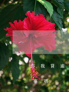 你我貸逾期后影響車貸嗎(車貸每期都逾期有事嗎)