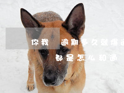你我貸逾期多久就爆通訊錄(你我貸逾期爆通訊錄都是怎么和通訊錄里的人說的)
