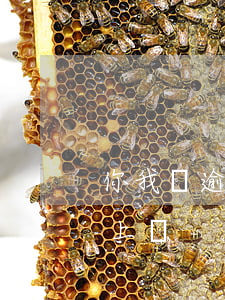 你我貸逾期多久會上征信(征信是逾期了才會上嗎)
