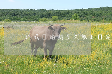 你我貸逾期多久能上門(逾期多久會上門)