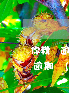 你我貸逾期多少會(huì)被起訴(你我貸逾期會(huì)怎么樣?逾期后果嚴(yán)重嗎?)