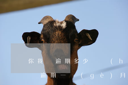 你我貸逾期多少錢會(huì)被起訴(你我貸逾期一個(gè)月,發(fā)信息說起訴真的嗎)