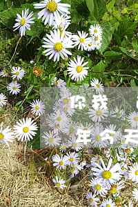 你我貸逾期幾天報通訊錄(你我貸借款逾期2年,今天給我打電話)