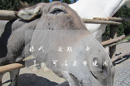 你我貸逾期幾年無法償還(你我貸逾期了還清了還可以正常使用嗎?)