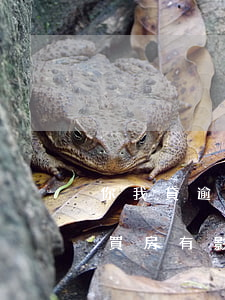 你我貸逾期影響支付寶嗎(支付寶逾期對貸款買房有影響嗎)