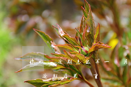 你我貸逾期怎么算一個月(你我貸逾期會怎么樣?逾期后果嚴重嗎?)