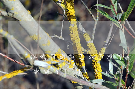 你我貸逾期怎么處理掉(你我貸是不是倒閉了逾期了電話(huà)都沒(méi)有)