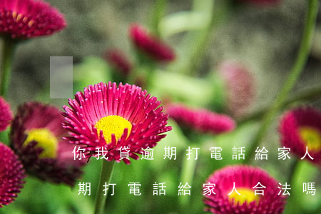 你我貸逾期打電話給家人合法嗎-你我貸逾期打電話給家人合法嗎是真的嗎