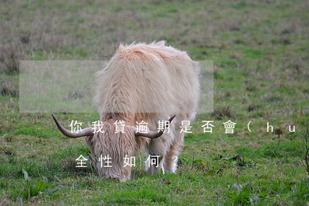 你我貸逾期是否會(huì)爆通訊錄？安全性如何？