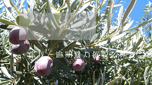 你我貸逾期暴力催收么(你我貸逾期暴力催收么)