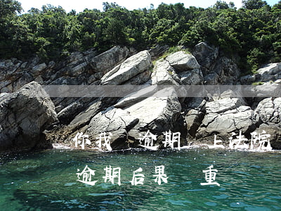 你我貸逾期會上法院嗎(你我貸逾期會怎么樣?逾期后果嚴重嗎?)