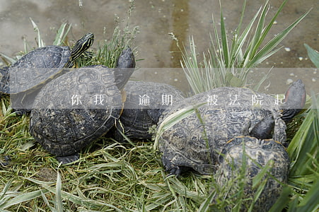 你我貸逾期會被法院起訴嗎