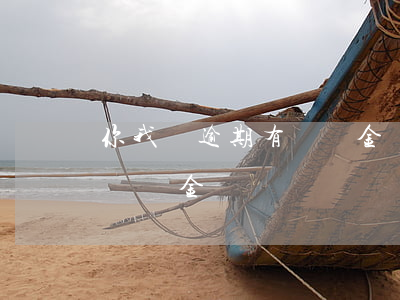 你我貸逾期有違約金嗎(你我貸第二天還款有違約金嗎)