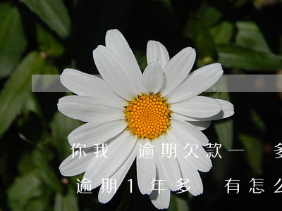 你我貸逾期欠款一萬多(你我貸欠款1800,逾期1年多,會有怎么影響)