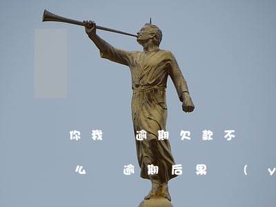你我貸逾期欠款不還會怎樣(你我貸逾期會怎么樣?逾期后果嚴(yán)重嗎?)