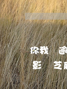 你我貸逾期減芝麻信用(你我貸會(huì)影響芝麻分嗎)