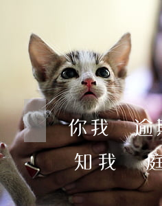 你我貸逾期發(fā)來立案通知(你我貸通知我開庭?)