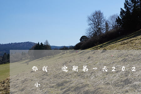 你我貸逾期第一天2020(你我貸逾期幾個小時)