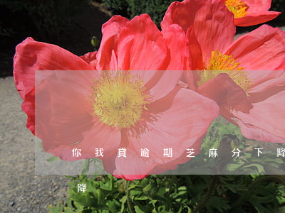 你我貸逾期芝麻分下降(你我貸逾期芝麻分下降)