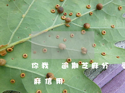 你我貸逾期芝麻分會受影響(你我貸會影響芝麻信用嗎)