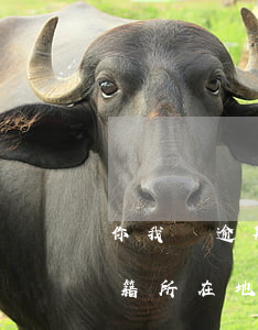 你我貸逾期說要寄送戶籍地(逾期說要寄到戶籍所在地)