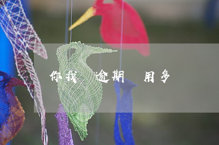 你我貸逾期費用多錢