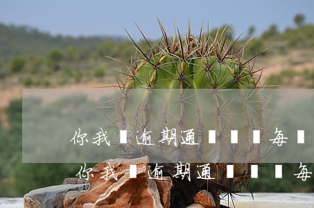 你我貸逾期通話記錄每個(gè)都打嗎-你我貸逾期通話記錄每個(gè)都打嗎有影響嗎