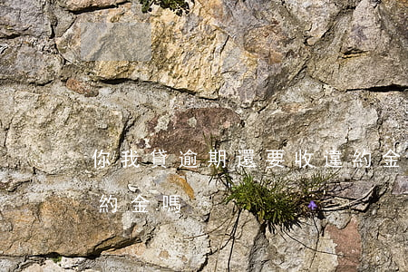 你我貸逾期還要收違約金嗎(貸款逾期要收違約金嗎)