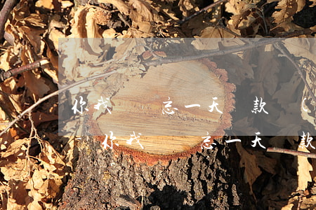 你我貸遺忘一天還款會(huì)上征信嗎-你我貸遺忘一天還款會(huì)上征信嗎怎么辦