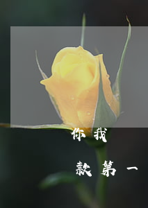 你我貸還款第一期后能借出來嗎-你我貸還款第一期后能借出來嗎安全嗎