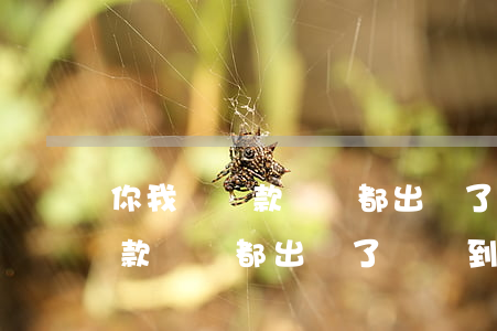 你我貸還款計劃都出來了錢沒到-你我貸還款計劃都出來了錢沒到賬怎么辦