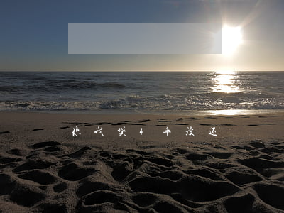你我贷4年没还