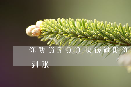 你我贷500块钱逾期(你我贷5000实际到账)