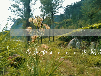 你我贷6000逾期会起诉吗