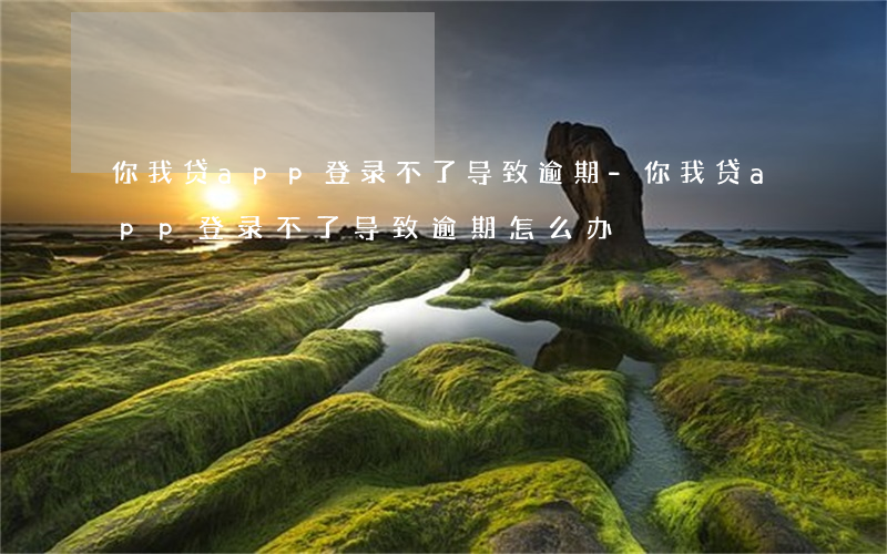 你我贷app登录不了导致逾期-你我贷app登录不了导致逾期怎么办