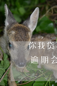 你我贷不逾期会打通讯录电话吗-你我贷不逾期会打通讯录电话吗
