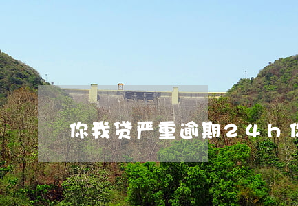 你我贷严重逾期24h(你我贷最新消息)