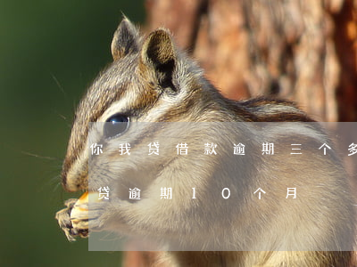 你我贷借款逾期三个多月了,会被起诉吗?（我来贷逾期10个月）