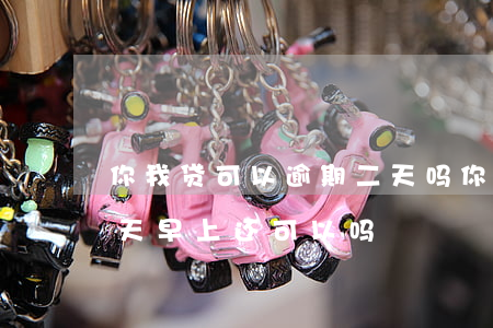 你我贷可以逾期二天吗(你我贷逾期一天,第二天早上还可以吗)