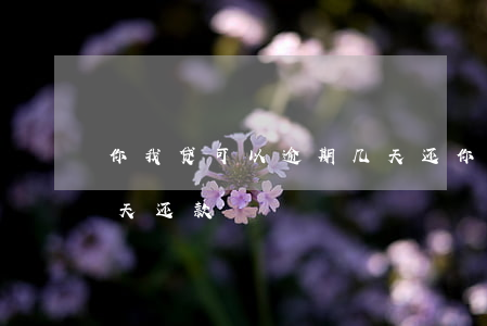 你我贷可以逾期几天还(你我贷最多可拖延几天还款)