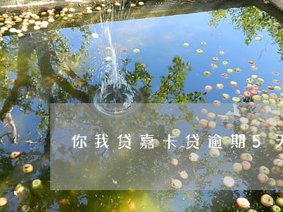 你我贷嘉卡贷逾期5天(嘉卡贷是你我贷吗)
