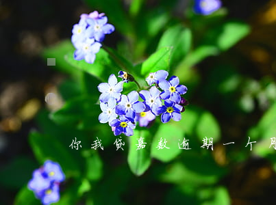 你我贷嘉数逾期一个月(嘉银你我贷)