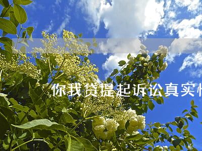 你我贷提起诉讼：真实情况及审理期限