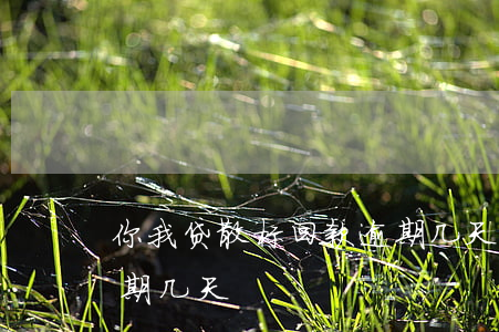 你我贷散标回款逾期几天(你我贷散标回款逾期几天)