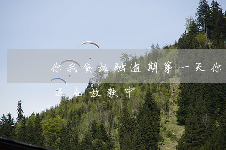 你我贷极融逾期第一天(你我贷极融20天了还在放款中)