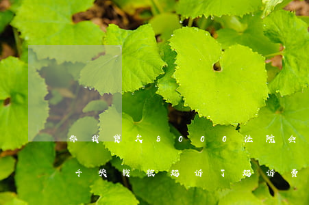 你我贷欠8000法院会起诉吗(欠你我贷一千块钱被起诉了起诉费多少)