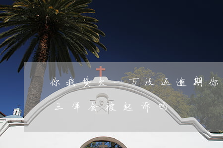 你我贷欠一万没还逾期(你我贷欠一千多逾期三年,会被起诉吗)